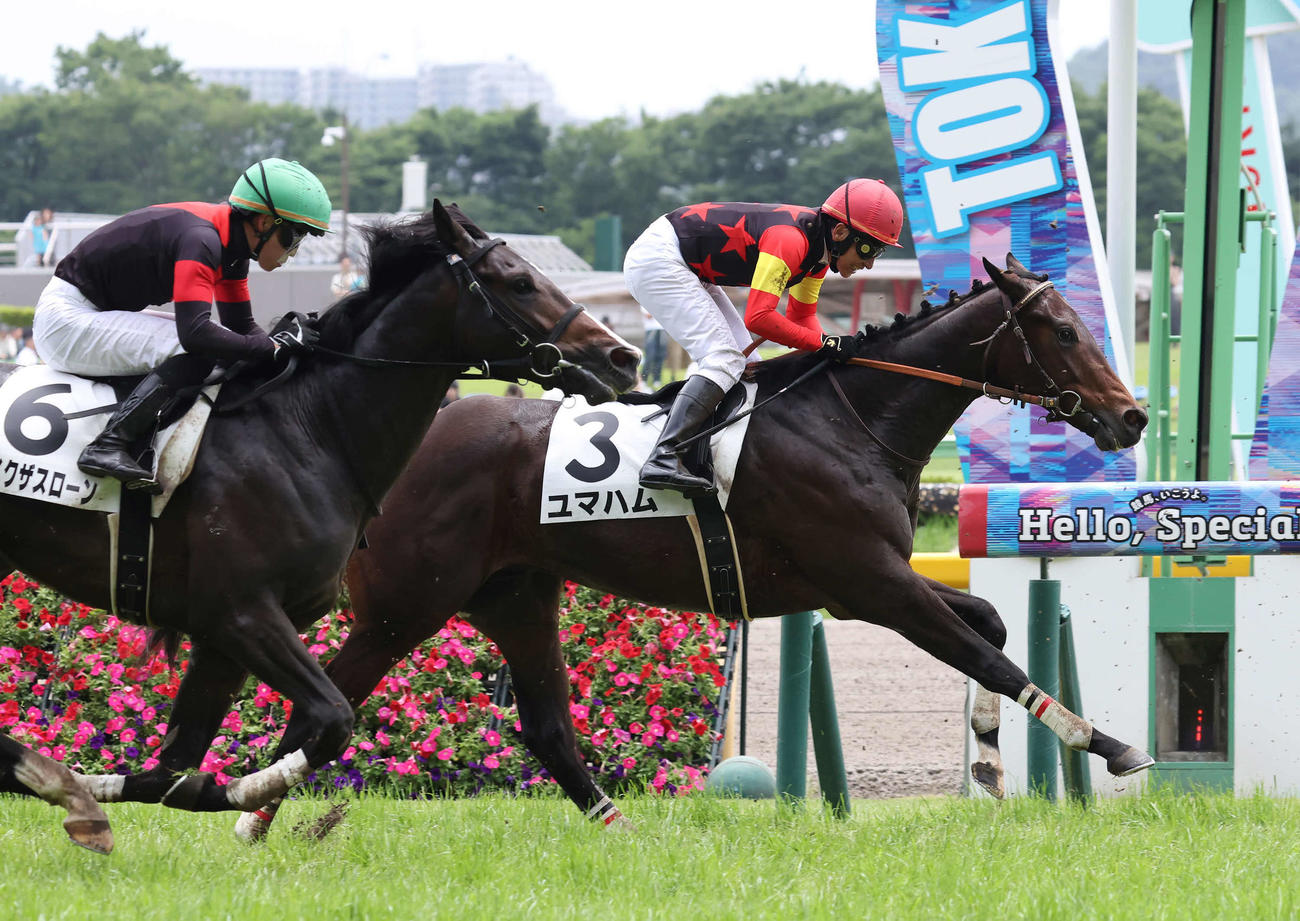 東京5R、デビュー戦で5着に敗れたユマハムと横山典騎手（奥）（撮影・丹羽敏通）