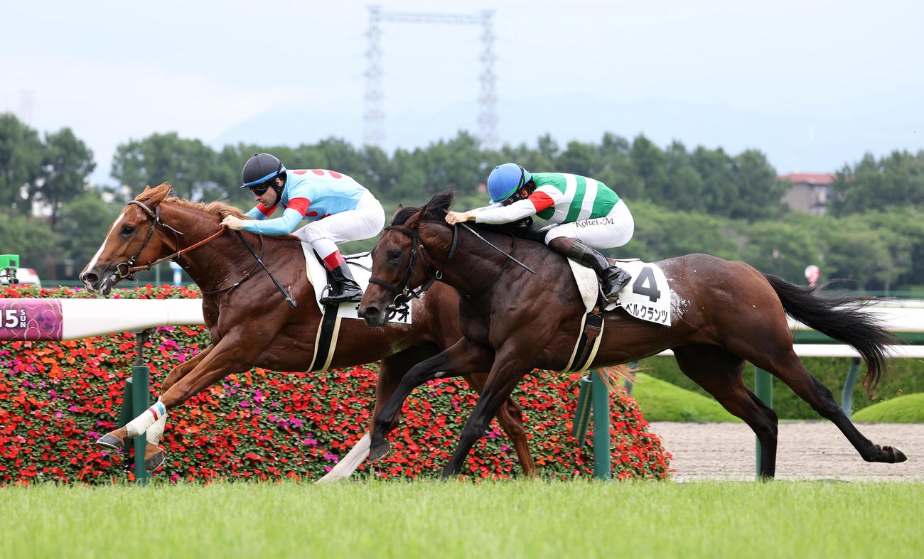 阪神5R新馬戦を制したサレジオ（左）（撮影・白石智彦）