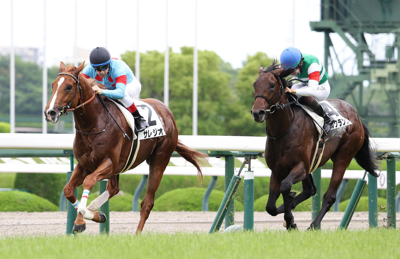 阪神5R新馬戦を制したサレジオ（左）（撮影・白石智彦）