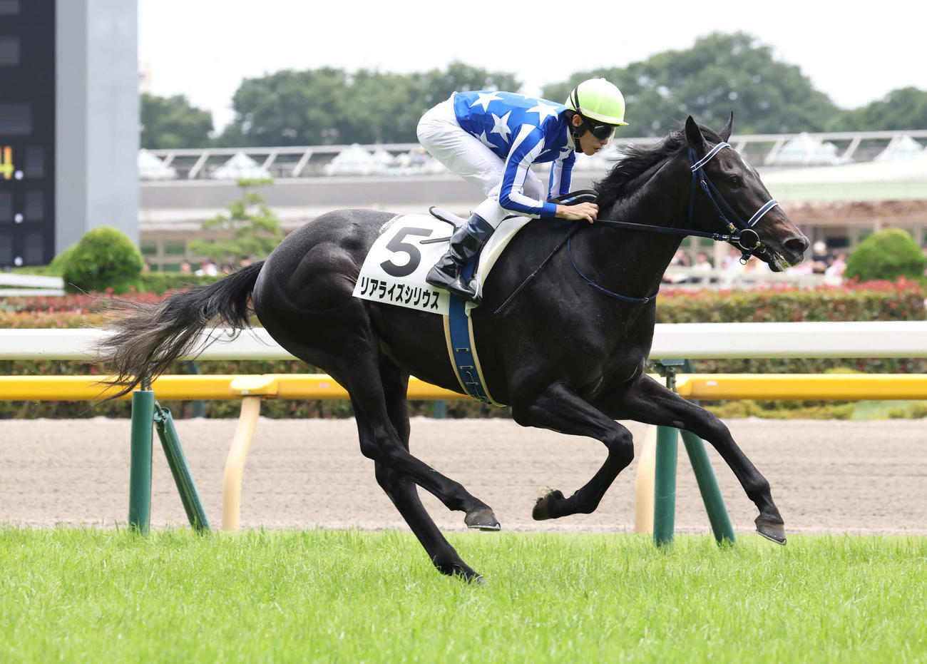 東京5R、デビュー戦を7馬身差で圧勝したリアライズシリウスと津村騎手（撮影・丹羽敏通）