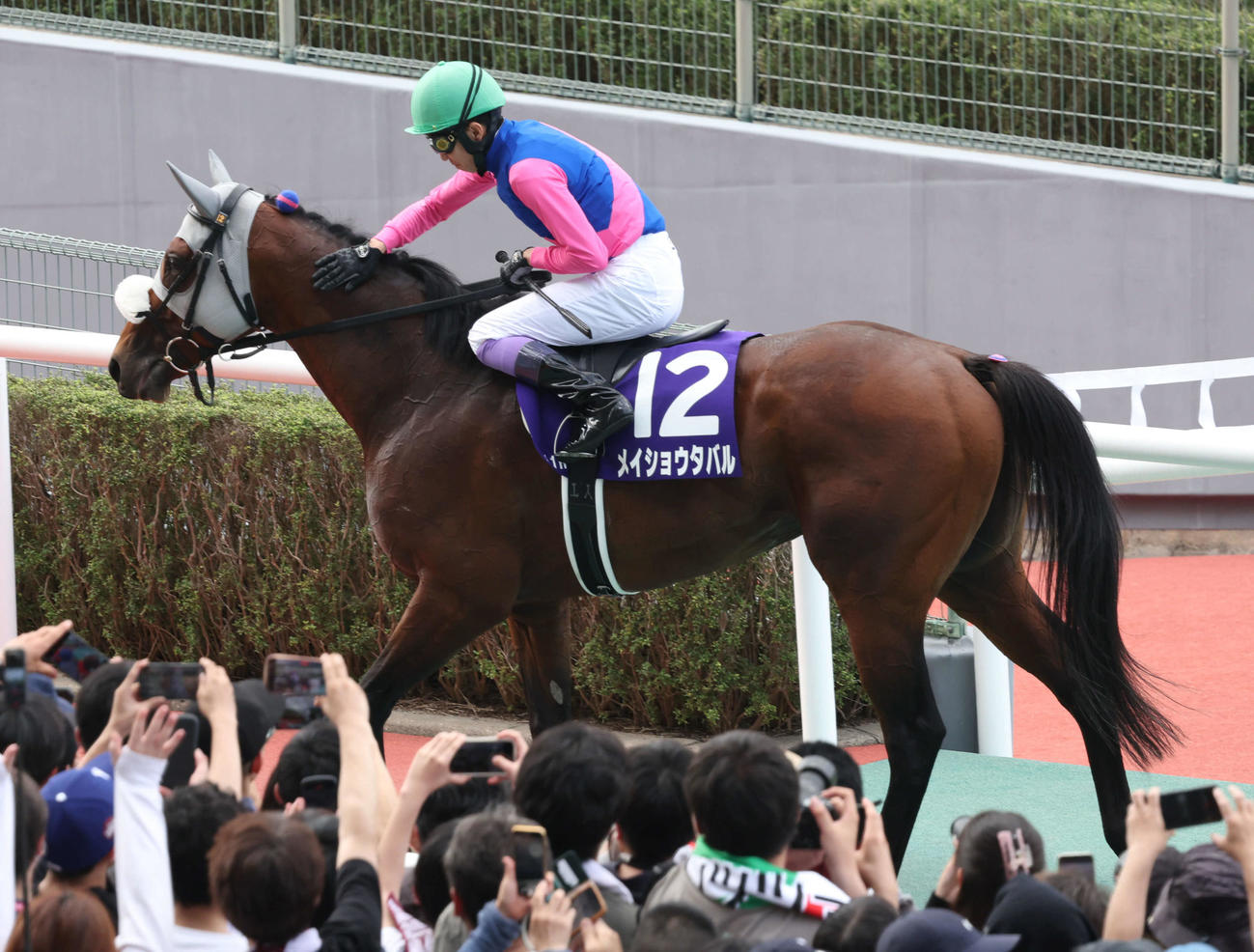 宝塚記念を制したメイショウタバルをなでる武豊騎手（撮影・西尾就之）