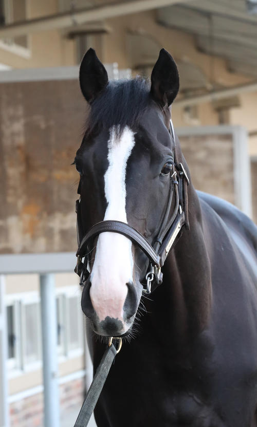 顕彰馬】イクイノックスが選定初年度で顕彰馬！父キタサンブラックと