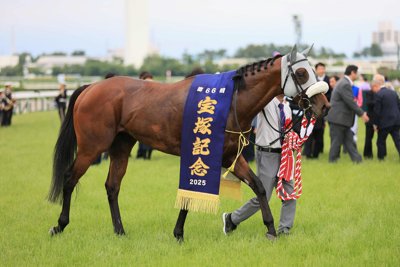 宝塚記念を制したメイショウタバル（2025年6月15日撮影）