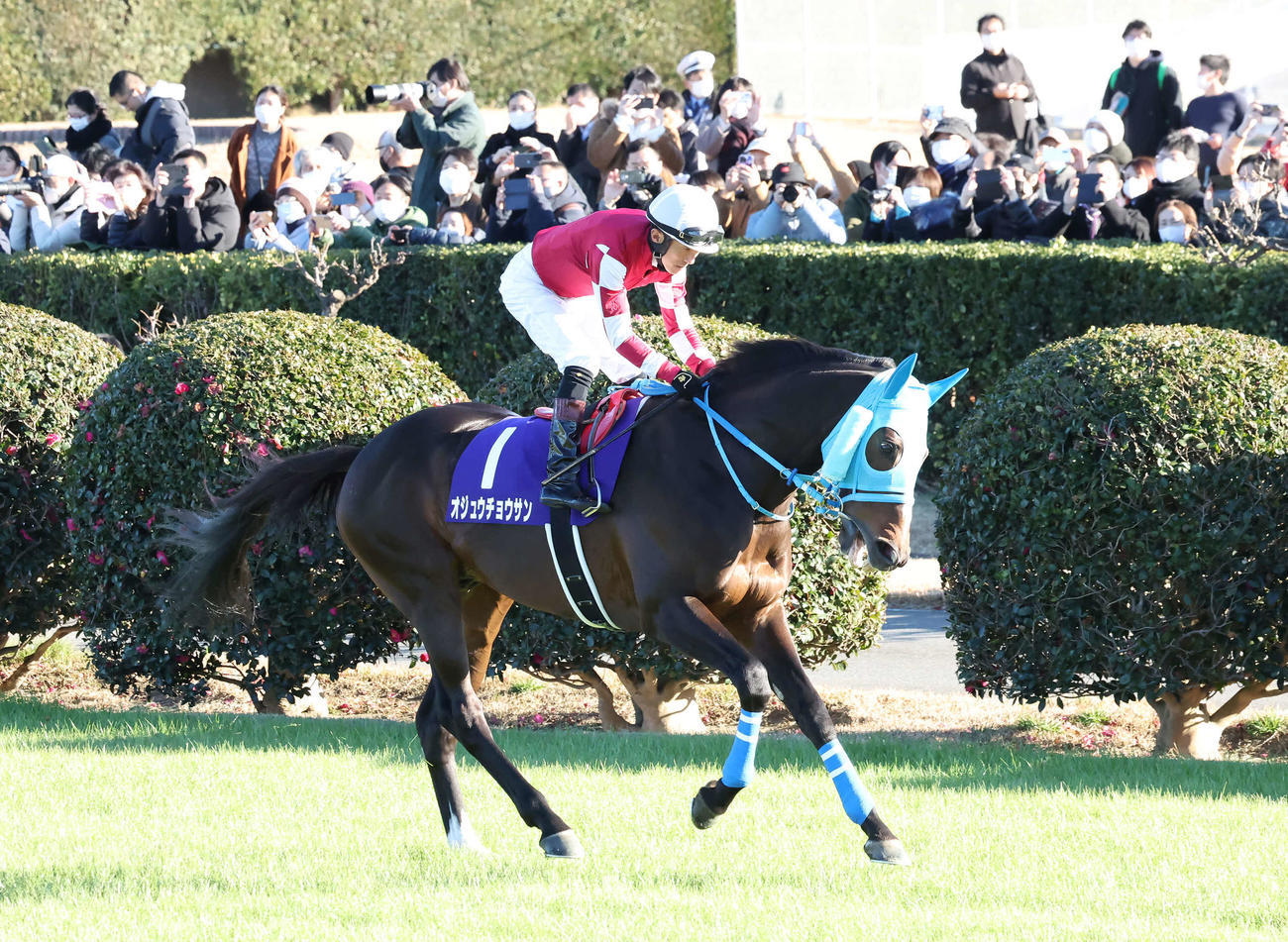 オジュウチョウサン（2022年12月24日撮影）