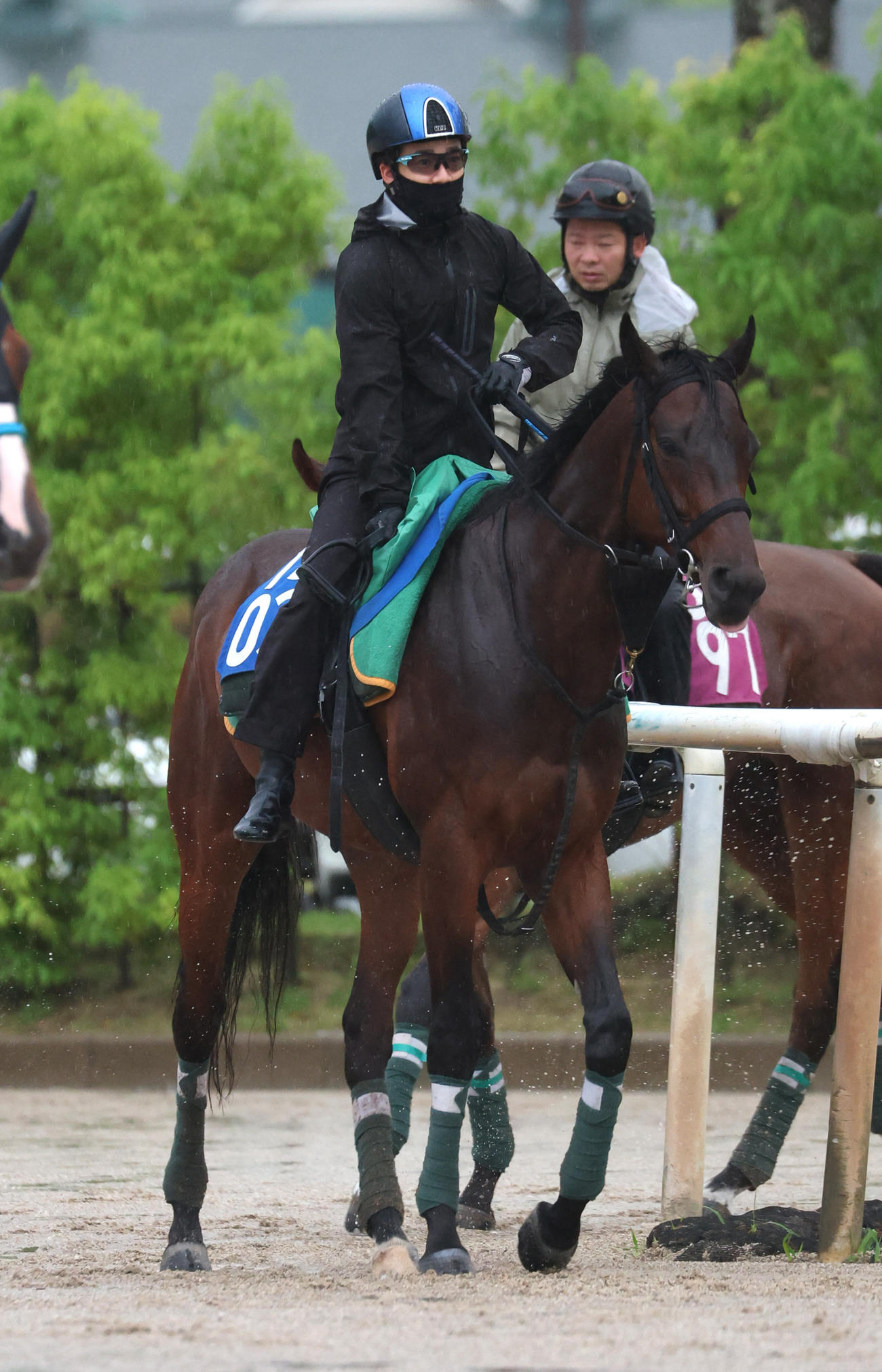 11日、松山騎手を背に運動するデビットバローズ　