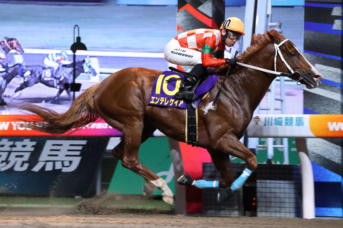1馬身半差の逃げ切りで川崎スパーキングスプリントを制したエンテレケイアと吉原騎手