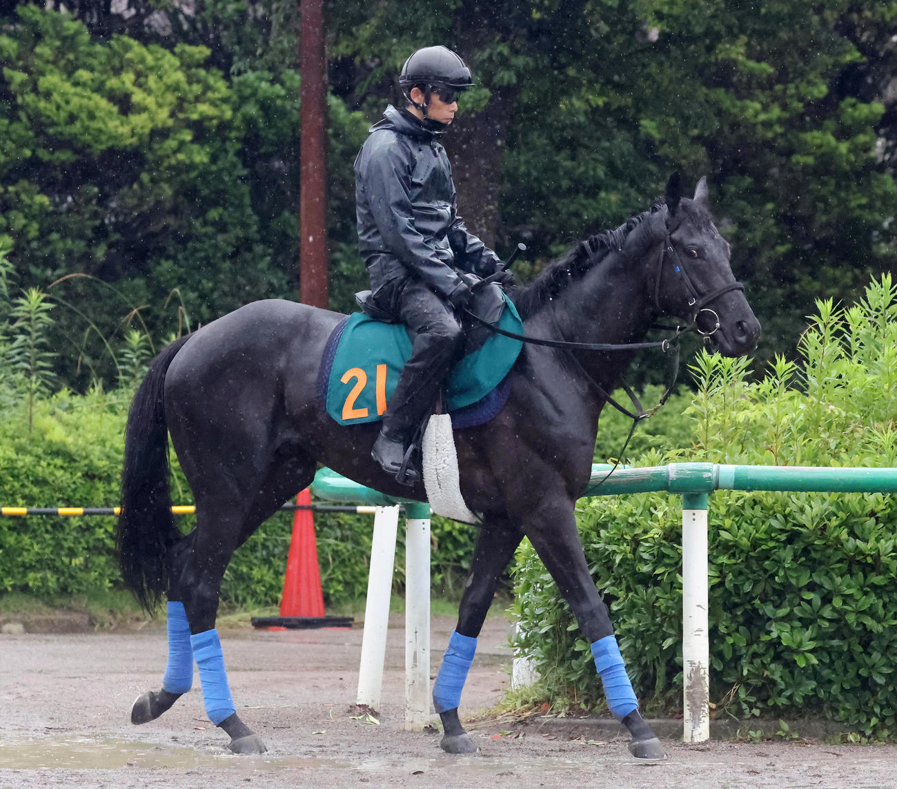 11日、馬場へ向かうチャリングクロス