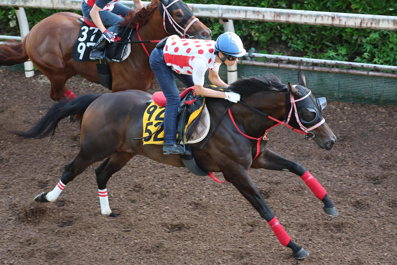 坂路で併せ馬に先着するラヴァンダ（右）