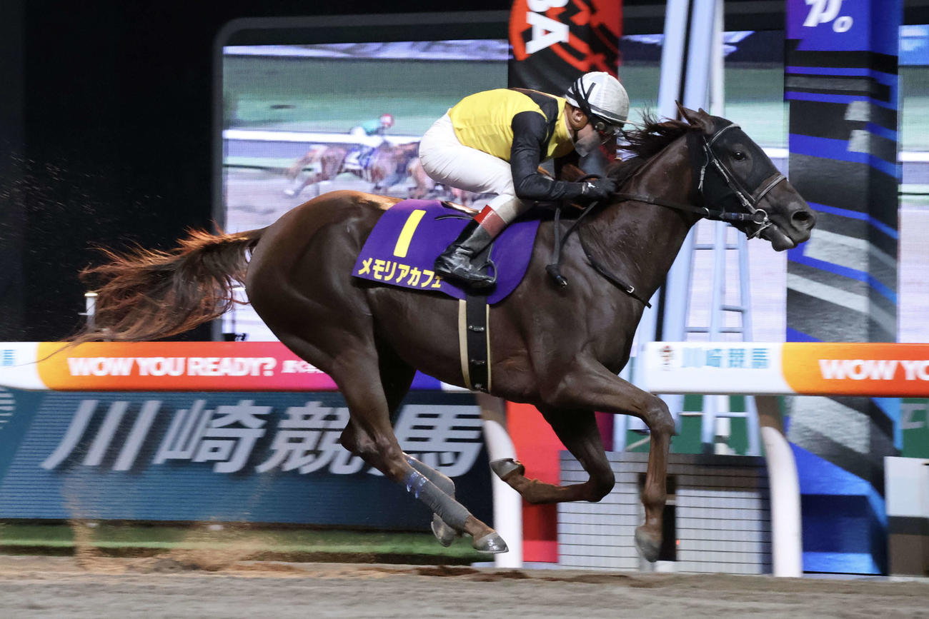 関東オークスを圧勝したメモリアカフェ（撮影・牛山基康）