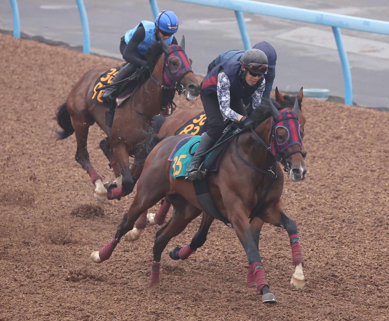 12日、モノポリオ（手前）は美浦ウッドを3頭併せで追い切られた（撮影・丹羽敏通）