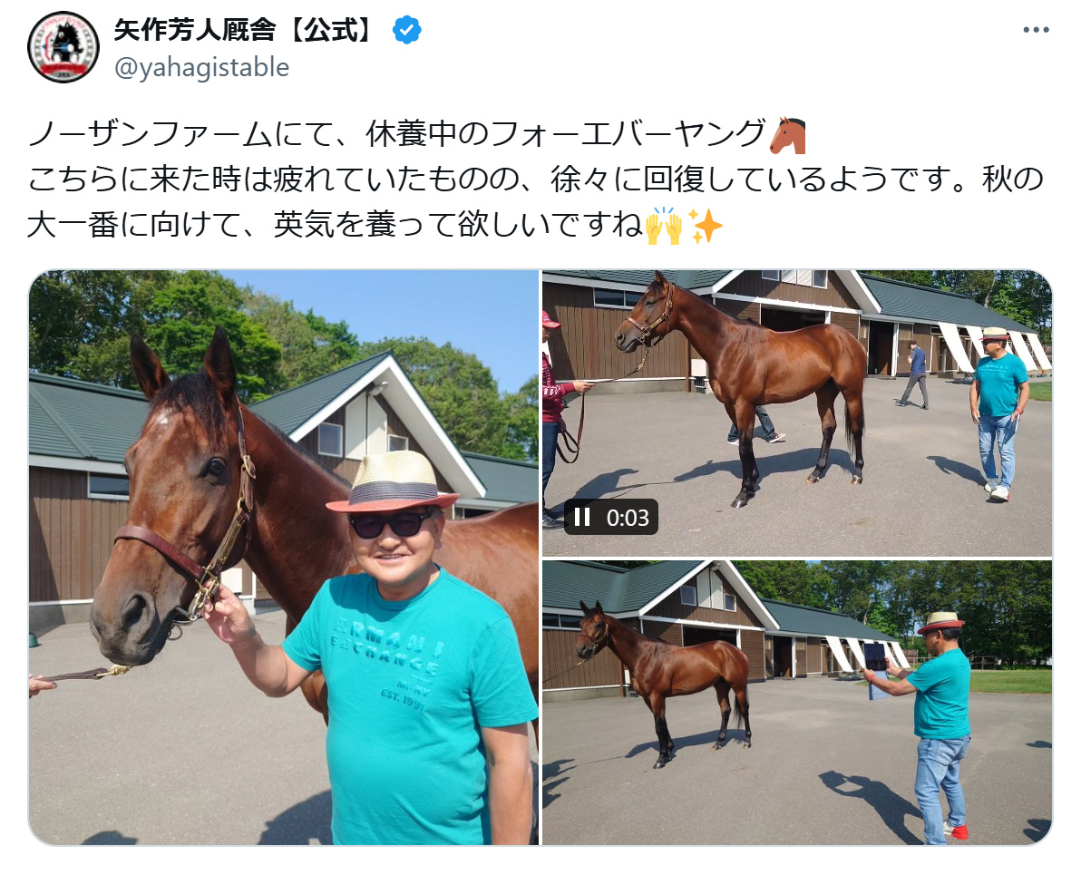 矢作厩舎の公式Xから