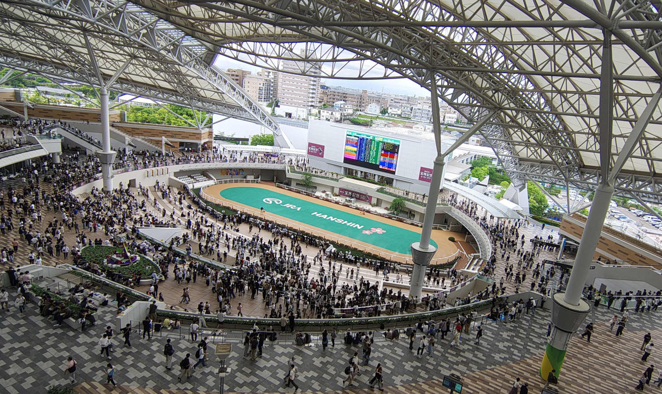 阪神競馬場のパドック
