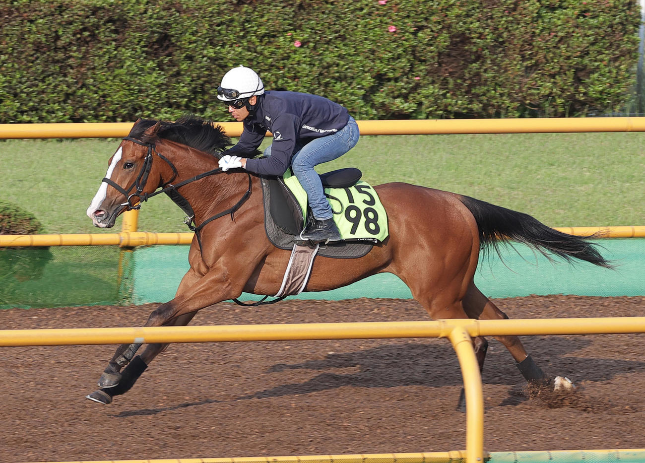 浜中俊騎手を背に、函館ウッドチップコースで追い切られるブラックチャリス