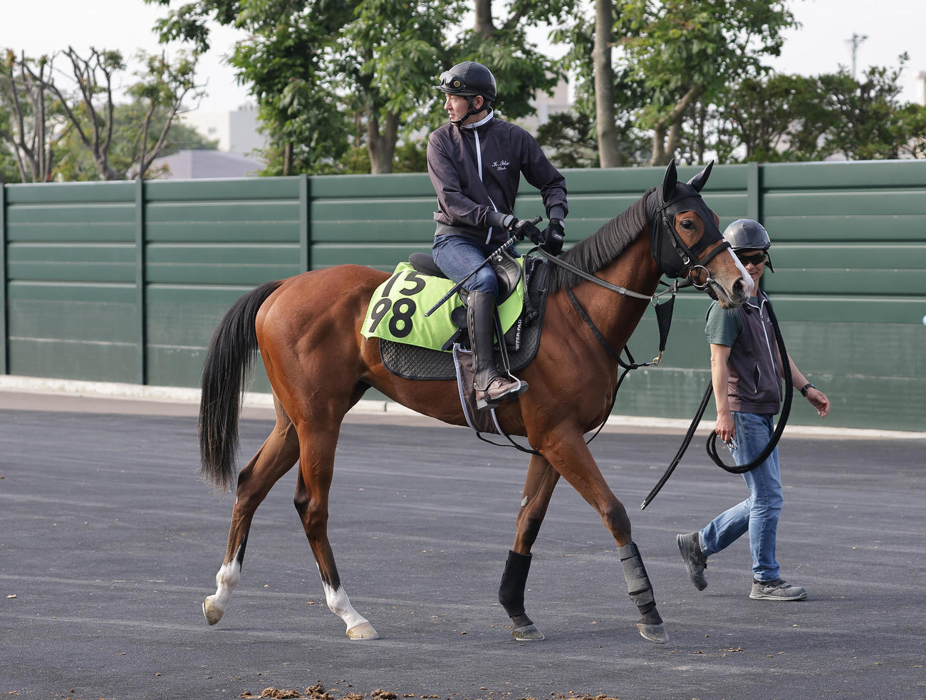 函館競馬場で調整するブラックチャリス