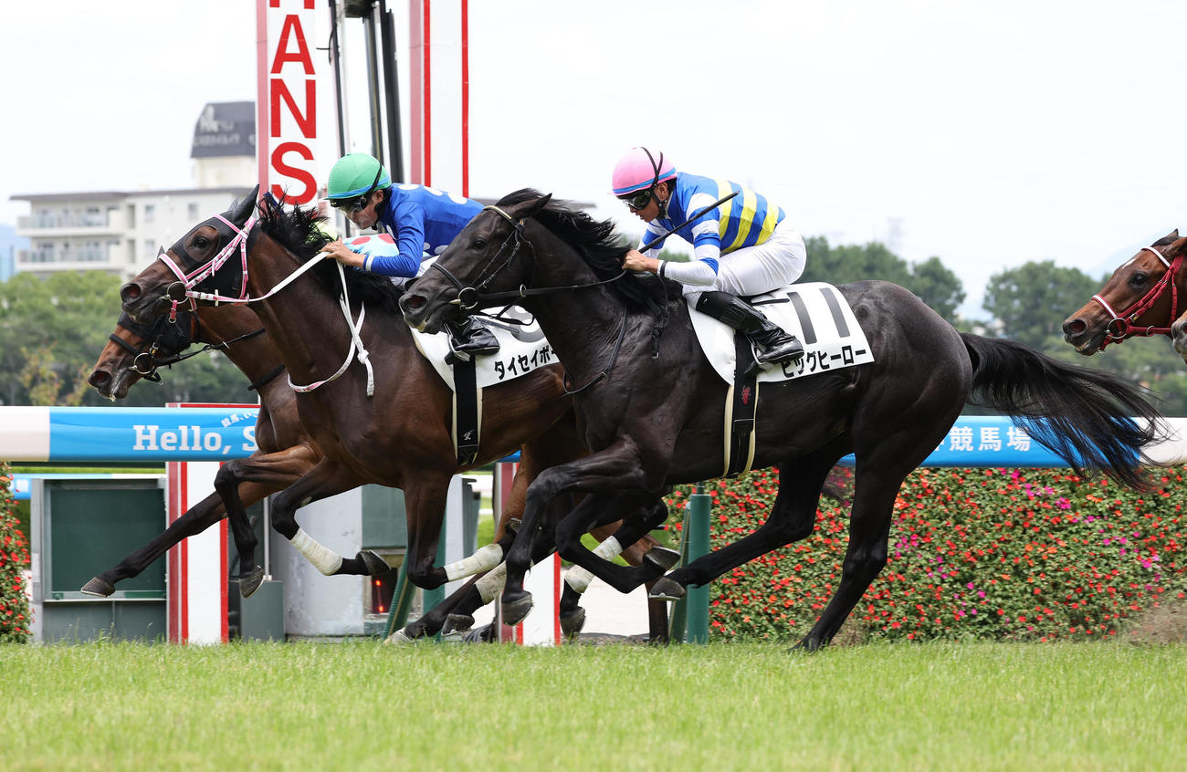 阪神5R、ゴール前の接戦を制して新馬戦を勝利したタイセイボーグ（中央）（撮影・白石智彦）