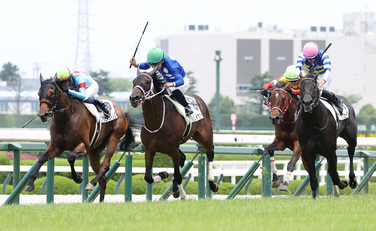 阪神5R、ゴール前の接戦を制して新馬戦を勝利したタイセイボーグ（中央）（撮影・白石智彦）