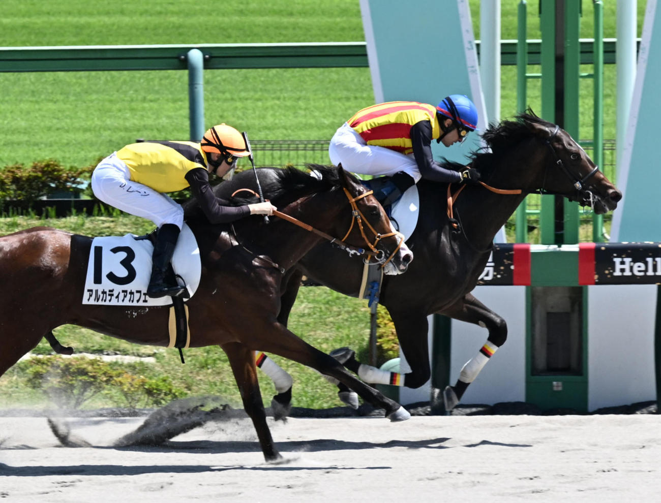 東京6R2歳新馬戦を制したペルセアとルメール騎手（右）。左は2着アルカディアカフェ（撮影・千葉一成）
