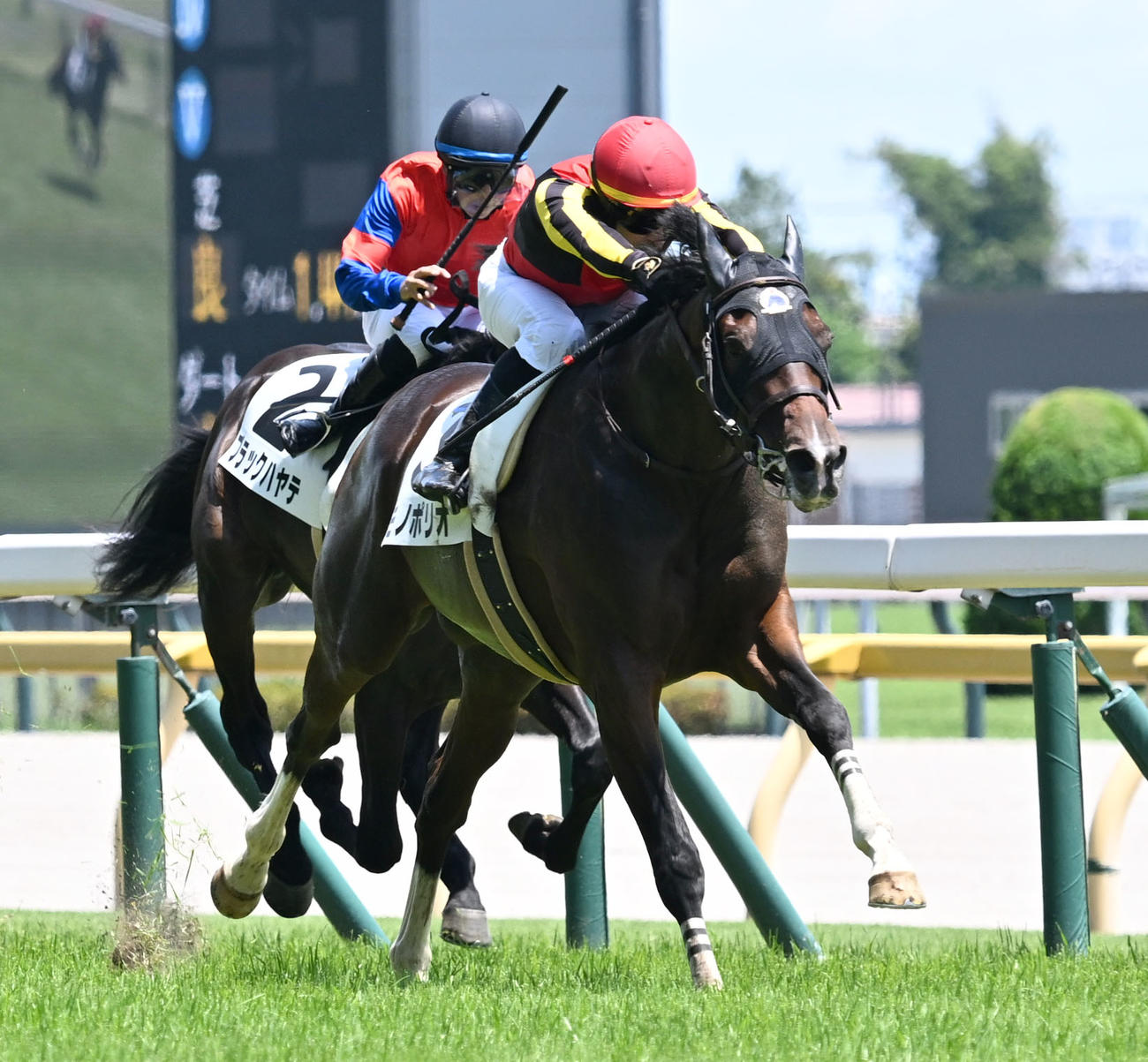 東京5R新馬戦を制したモノポリオとルメール騎手（撮影・千葉一成）