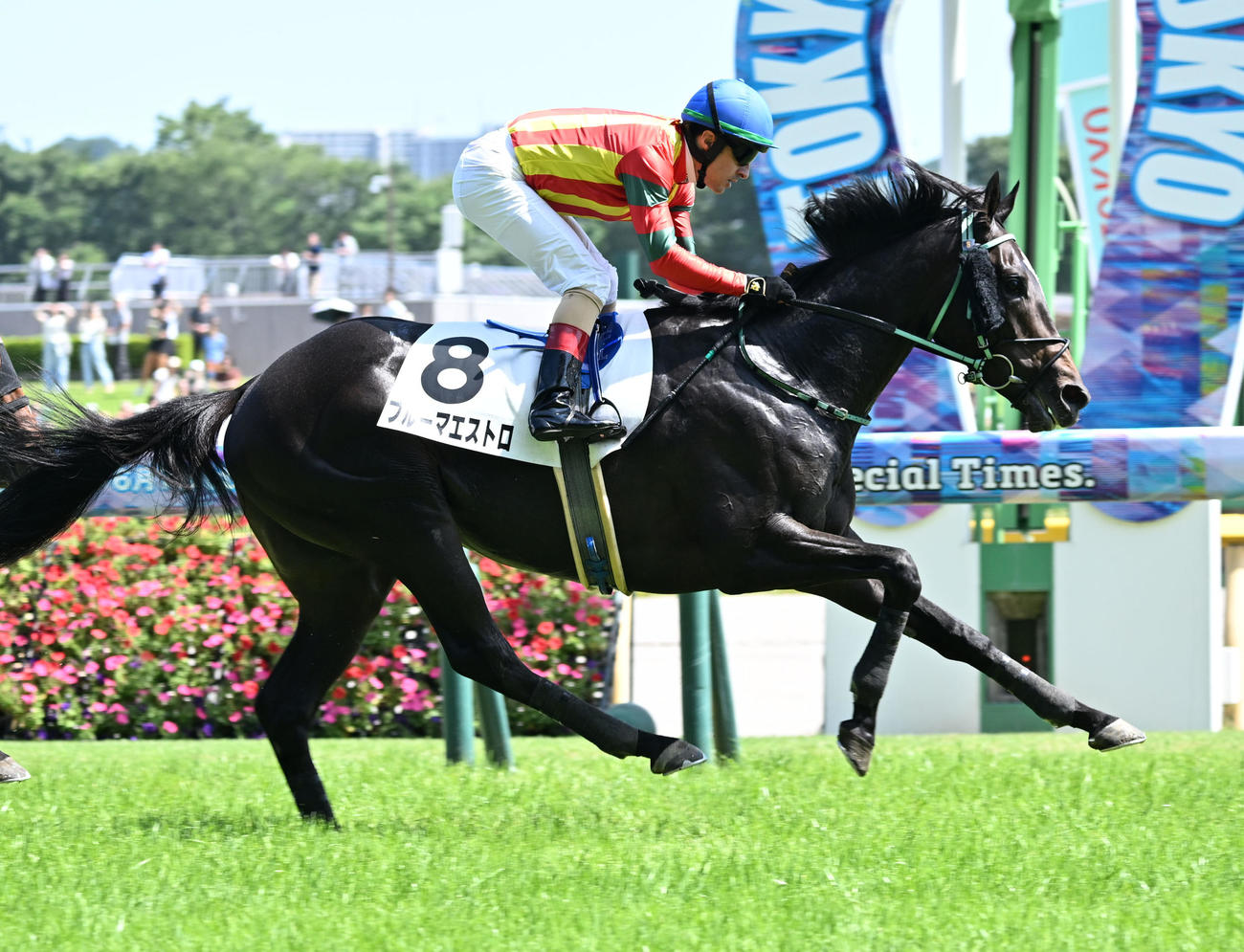 東京8R3歳上1勝クラスを制したブルーマエストロとルメール騎手（撮影・千葉一成）