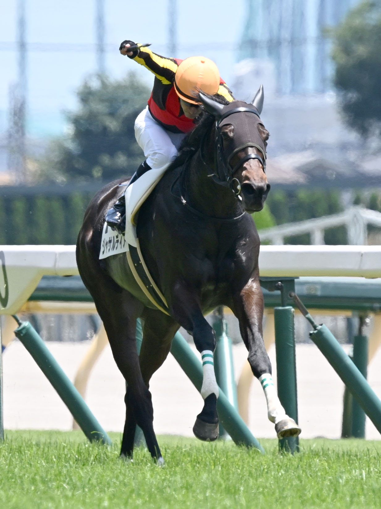 東京4R、3歳未勝利戦を制したジャサルディアとルメール騎手（撮影・千葉一成）