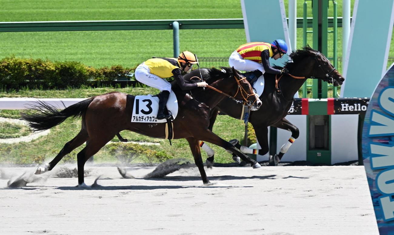 東京6R、2歳新馬戦を制したペルセアとルメール騎手。左は2着のアルカディアカフェ（撮影・千葉一成）