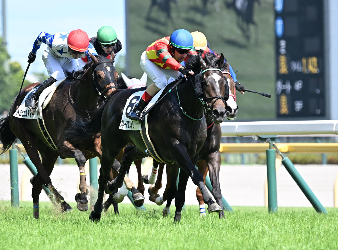 東京8R、3歳上1勝クラスを制したブルーマエストロとルメール騎手（右手前）（撮影・千葉一成）