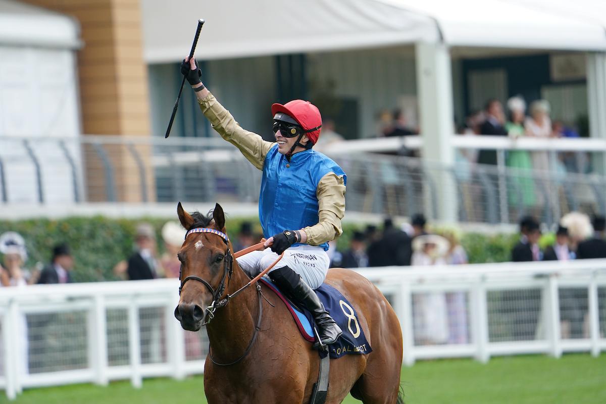 QE2世ジュビリーC】勝ったラザット陣営「日本馬に勝つのは難しい