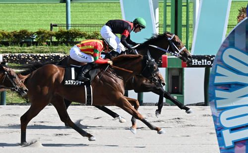 クールミラボー中団抜け出しV、同舞台4勝目と相性抜群／スレイプニル