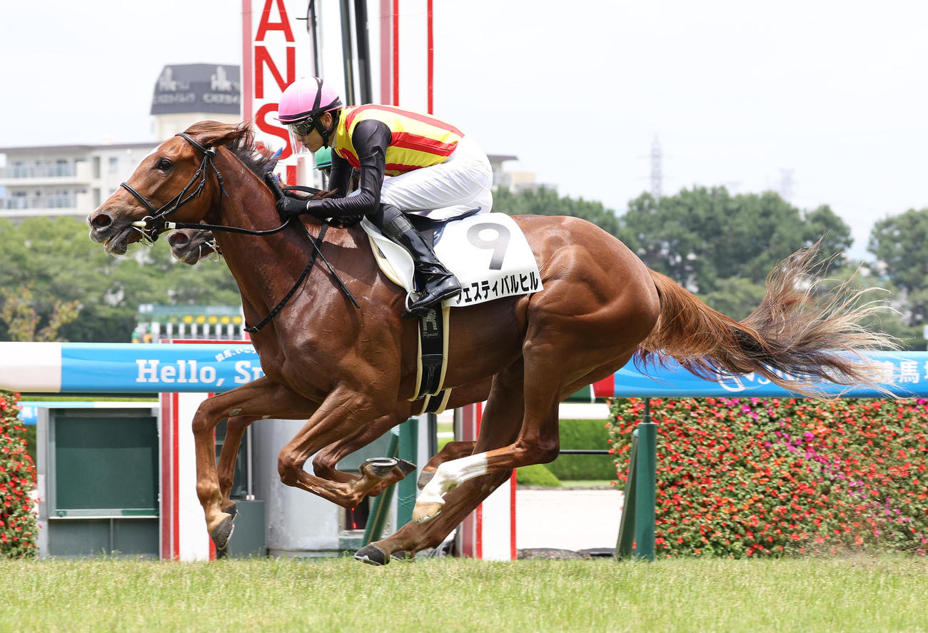 阪神5R、直線抜け出して新馬戦を制したフェスティバルヒル（撮影・白石智彦）