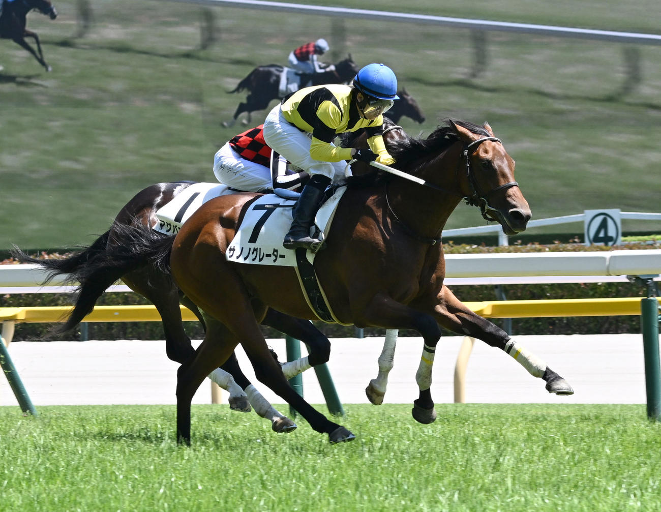 東京5R、2歳新馬戦を制したサノノグレーターと横山琉騎手（撮影・千葉一成）