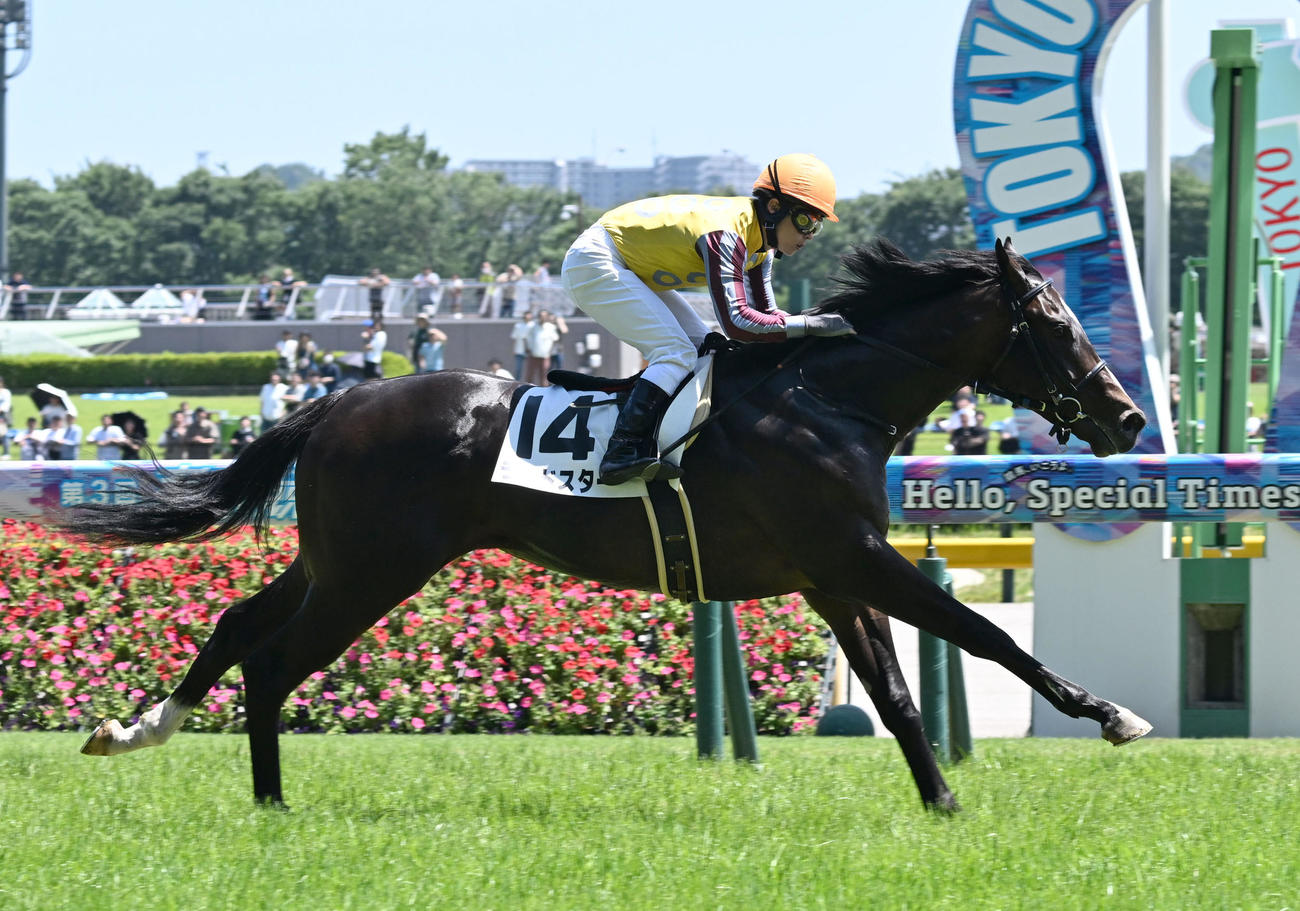 東京6R、2歳新馬戦を制したランドスターと丸田騎手（撮影・千葉一成）