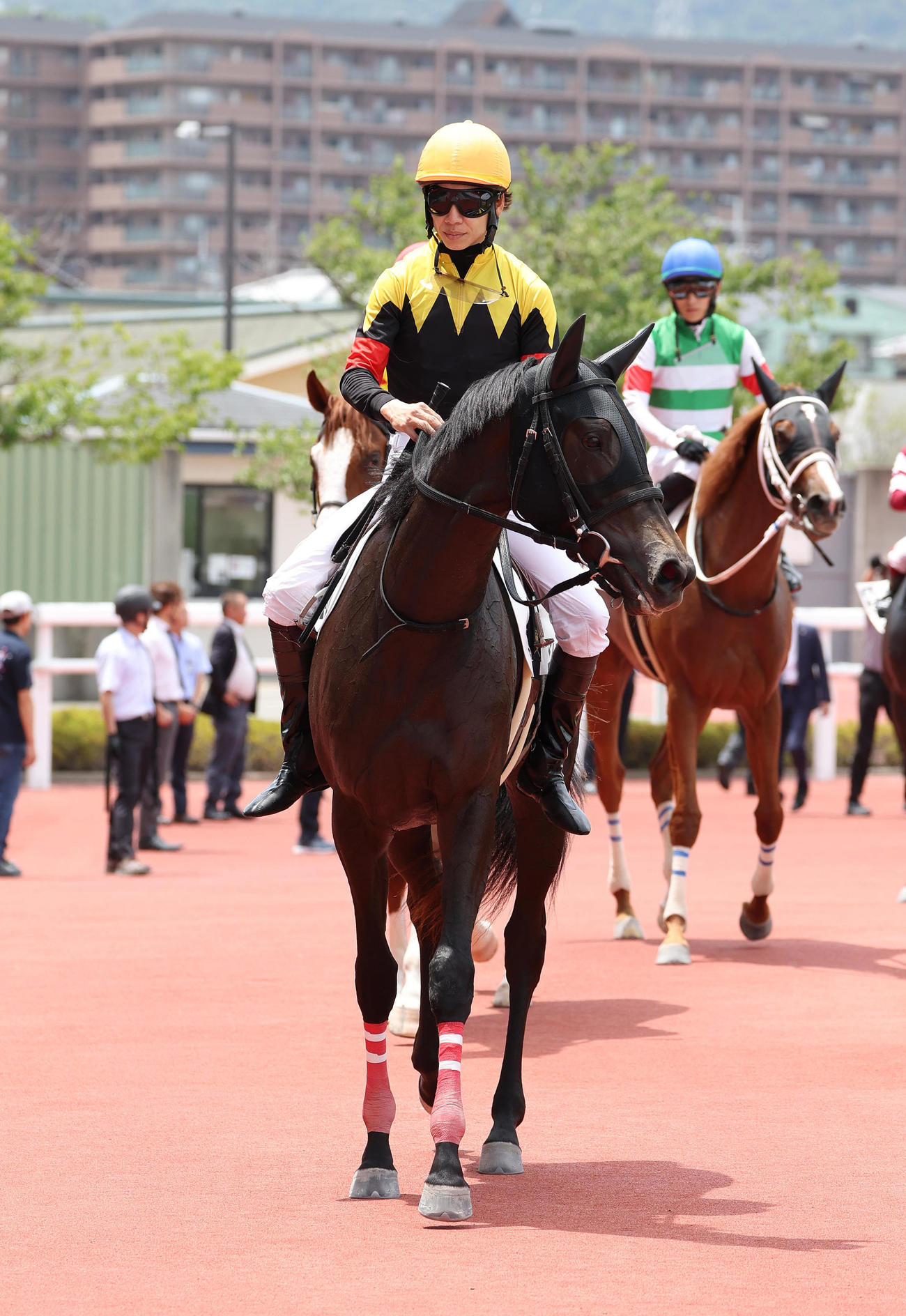 阪神6R、新馬戦を制したシュテフィ（撮影・白石智彦）
