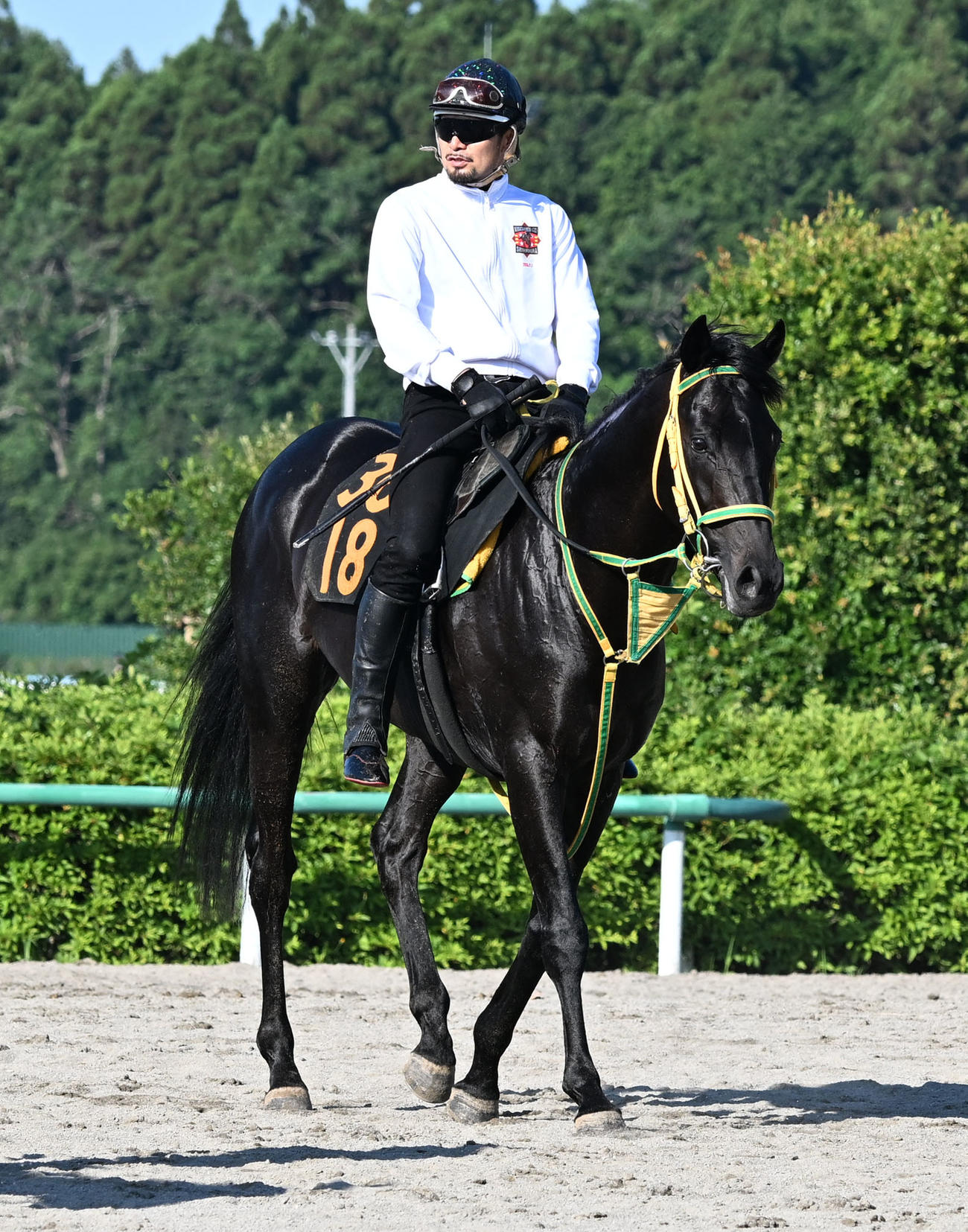 フクノブルーレイク（2025年6月18日撮影）