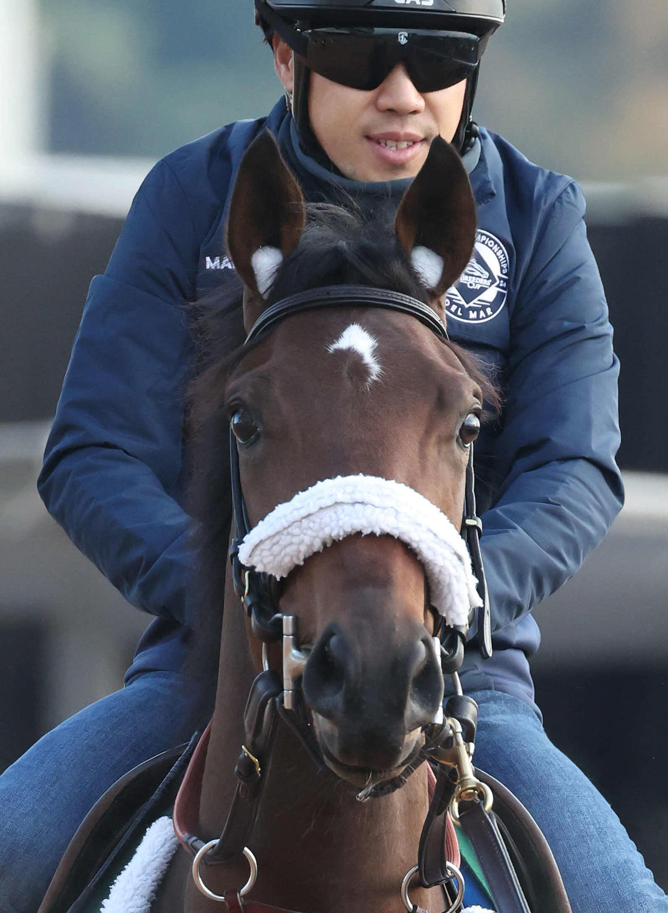 メイデイレディ（24年11月撮影）