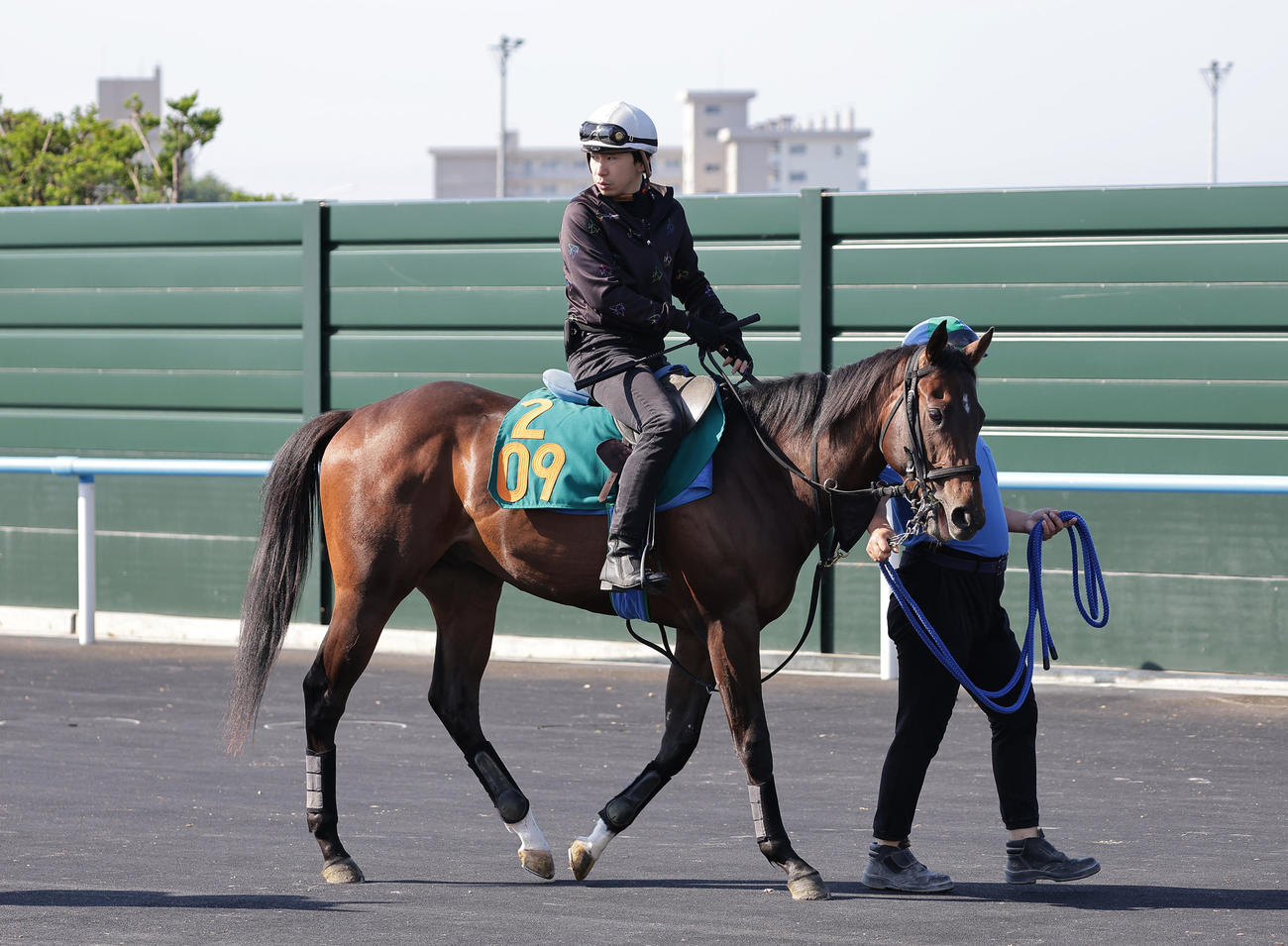 函館競馬場で調整するスミッコディスコ