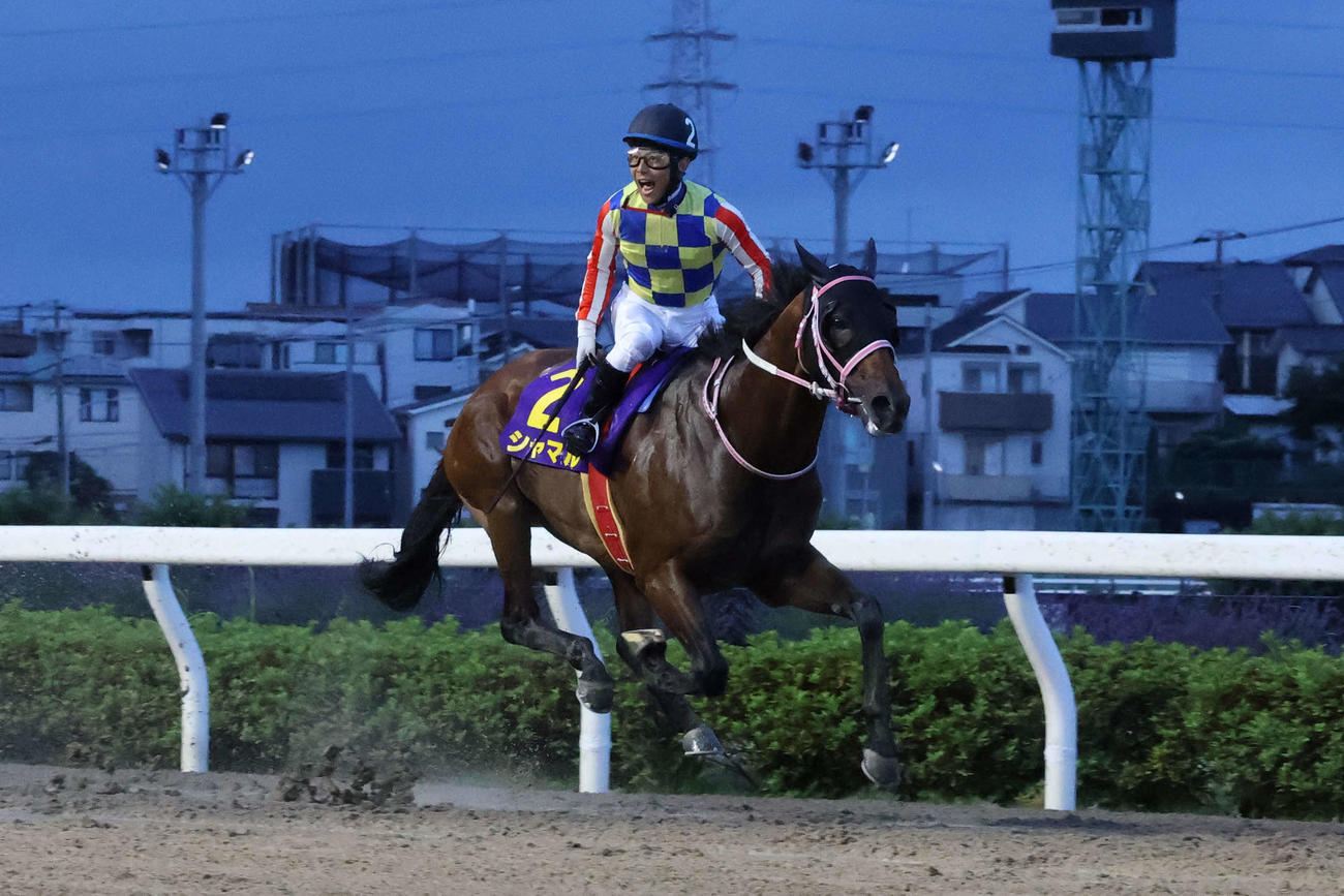 さきたま杯2着に5馬身差の逃げ切りでさきたま杯を制したシャマルと川須栄彦騎手