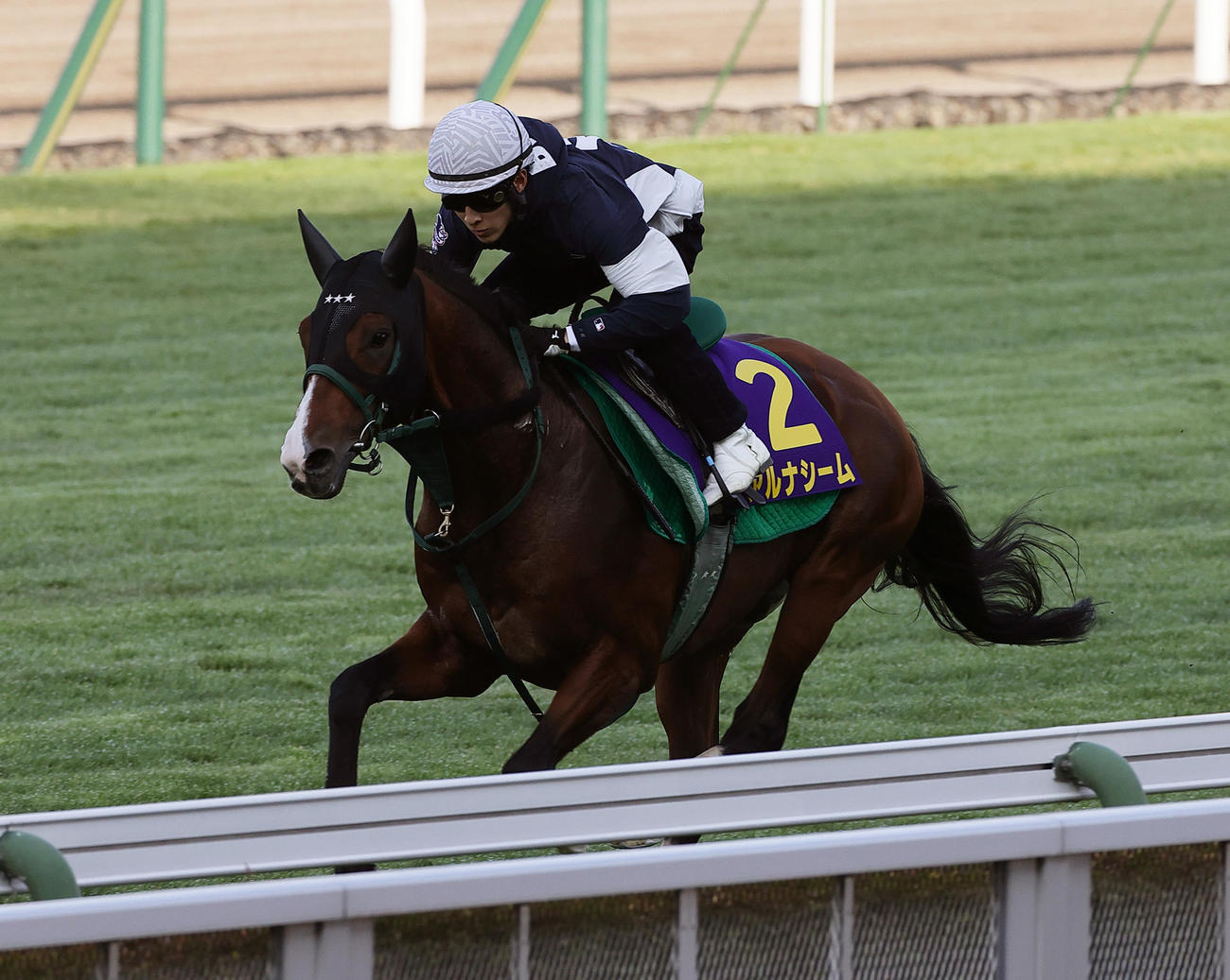 藤岡騎手を背に、函館芝コースで追い切られるアルナシーム