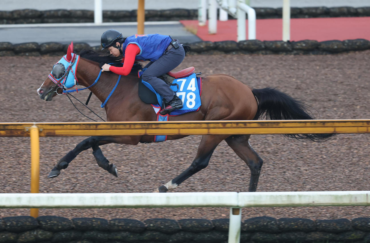 Cウッドで追い切るトールキン
