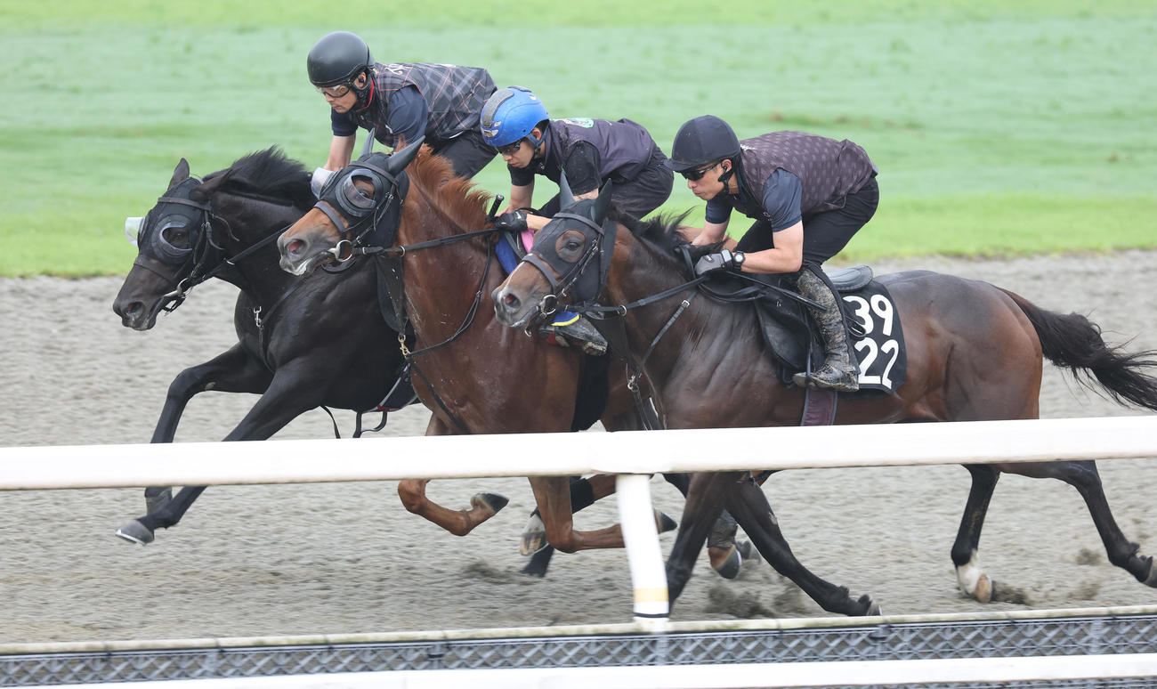 3頭併せで追い切るセンツブラッド（左）