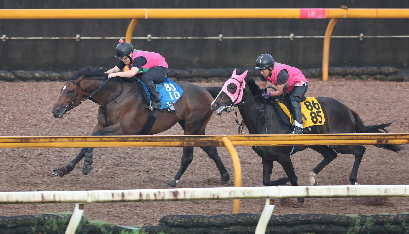 CWコースにて併せ馬で追い切るラムジェット（左）