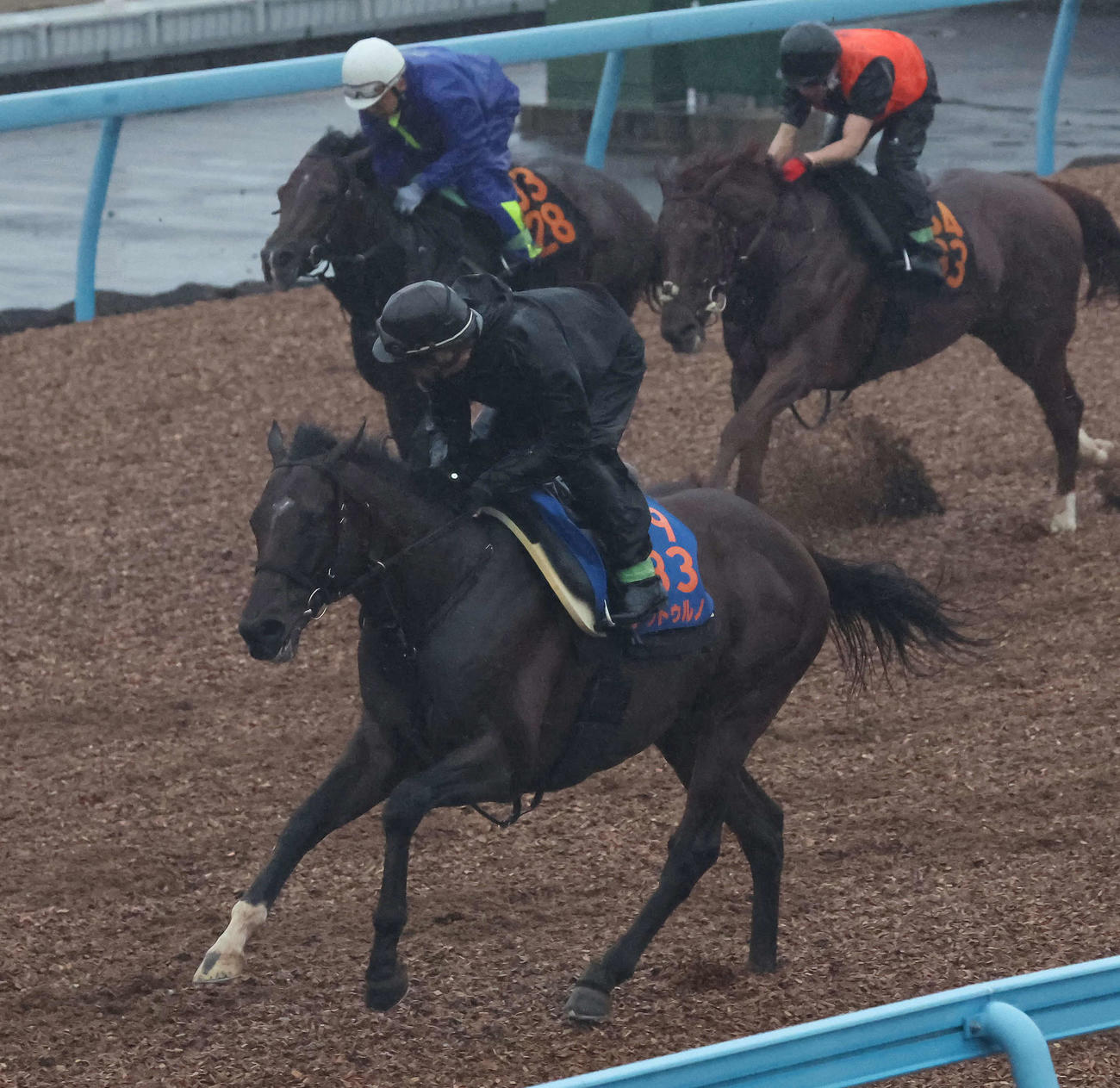 ノットゥルノ（手前）は美浦ウッドを単走で追い切られた（撮影・丹羽敏通）