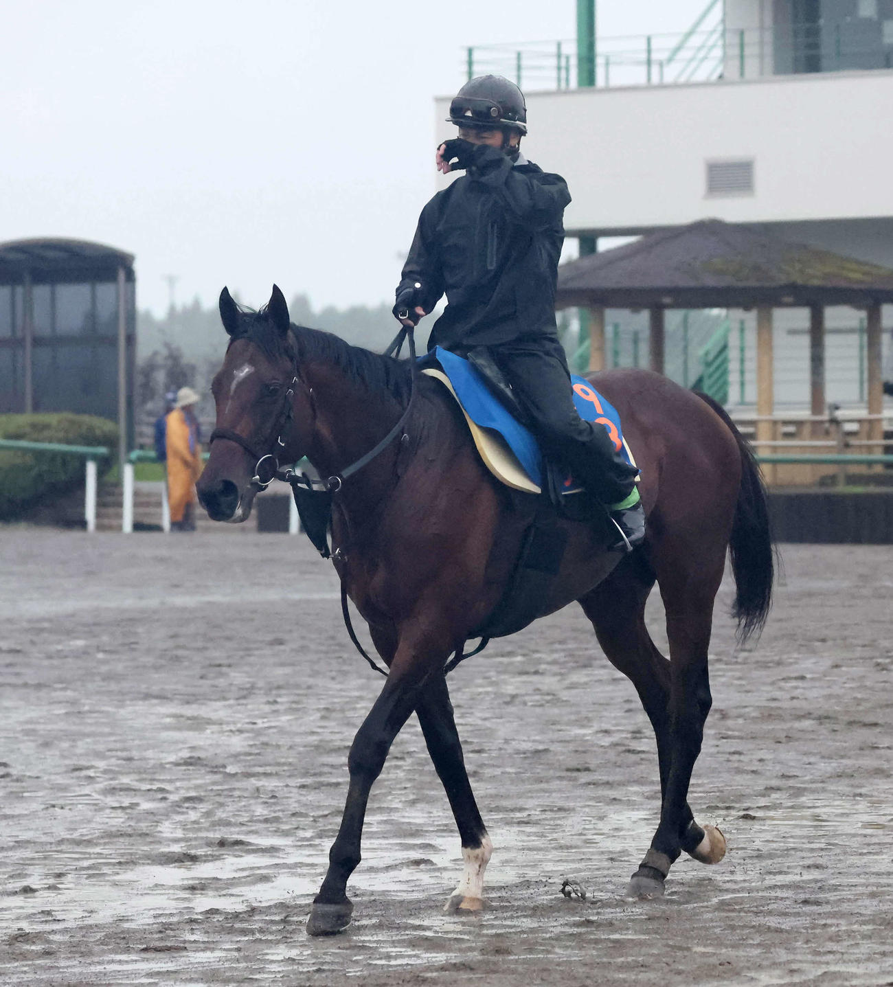 調教を終えて馬場を出るノットゥルノ（撮影・丹羽敏通）