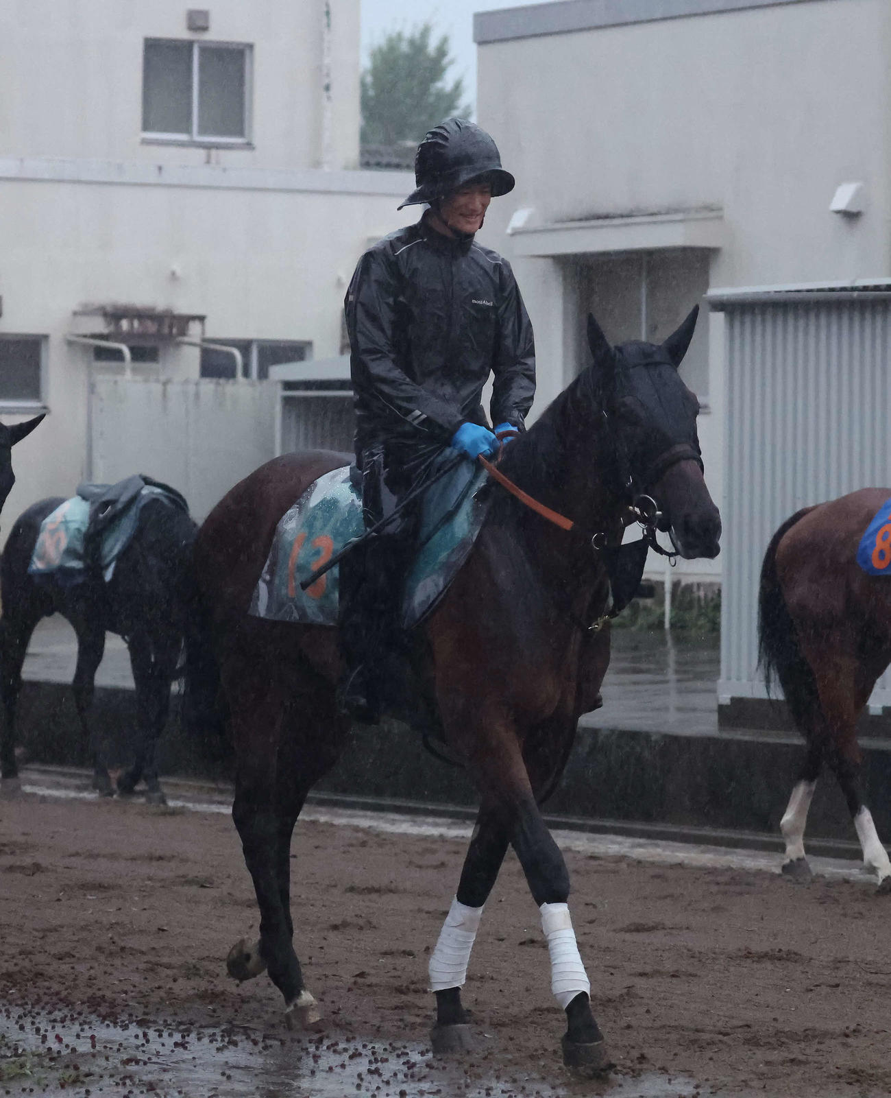 乗り運動で調整する宮田厩舎のイナズマダイモン（撮影・丹羽敏通）