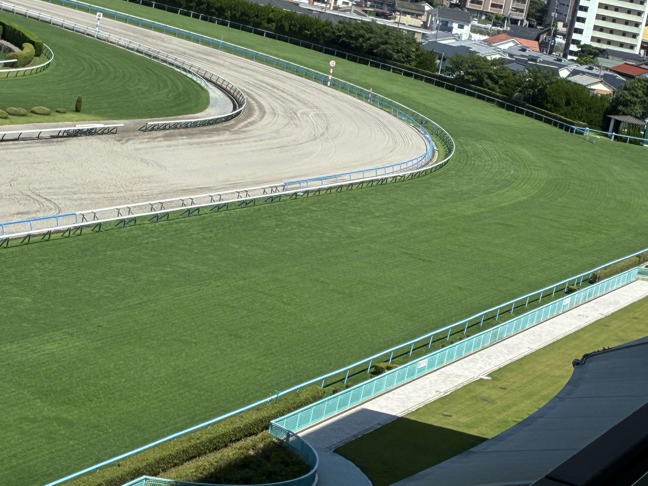 小倉競馬場芝コース4コーナーから直線（撮影・明神理浩）