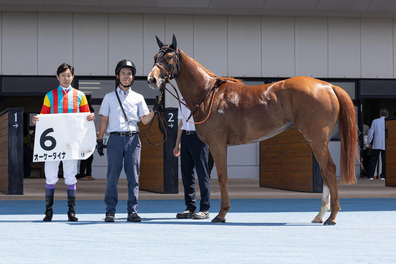 函館1R、3歳未勝利戦を制したオーケーダイナと武豊騎手（撮影・村野早祐）