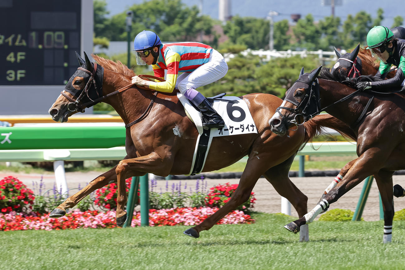 函館1R、3歳未勝利戦を制したオーケーダイナと武豊騎手（撮影・村野早祐）