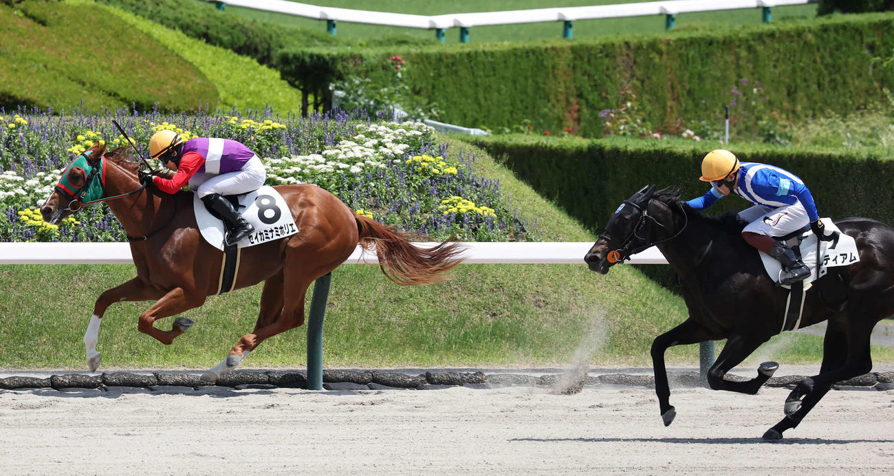 福島6R、2歳新馬戦を制したセイカミナミホリエと横山琉騎手（左）（撮影・丹羽敏通）