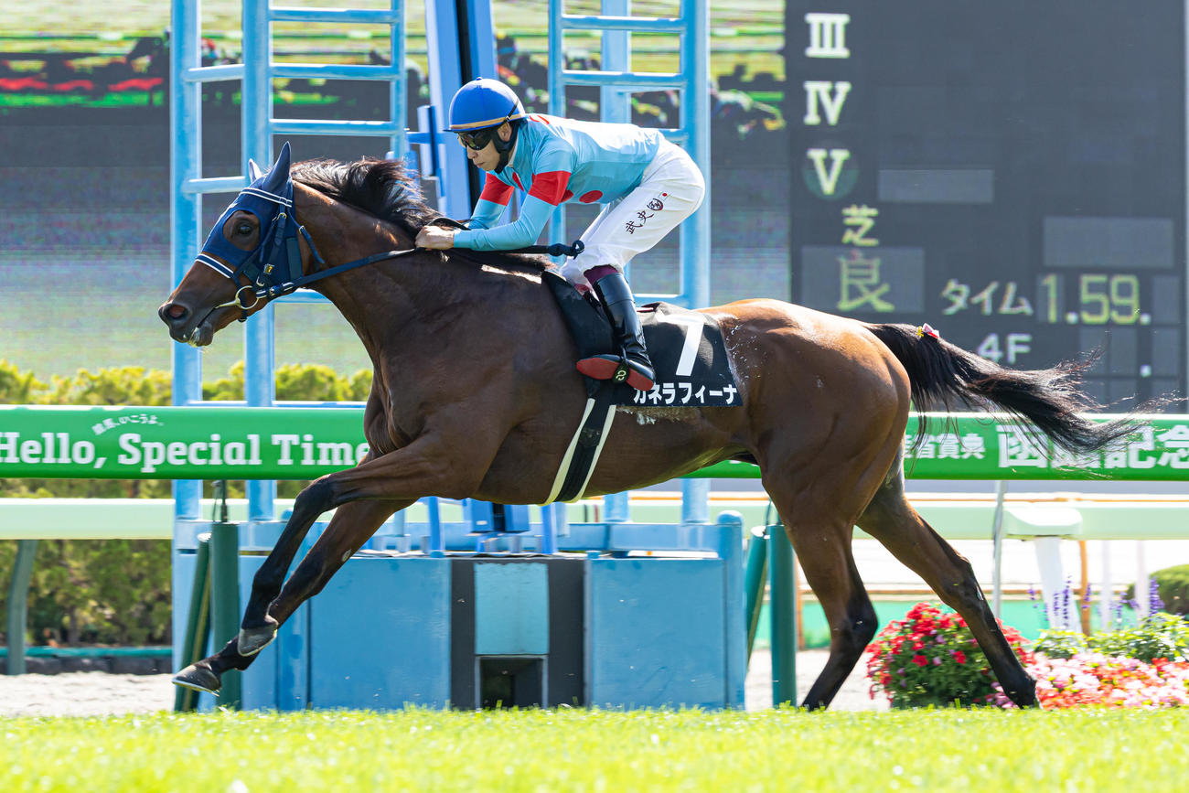 洞爺湖特別を制したカネラフィーナと横山武騎手（撮影・村野早祐）