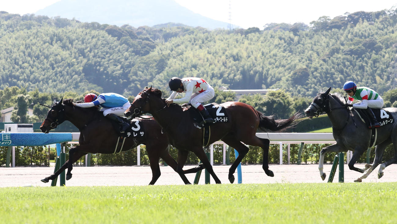 直線突き放し柳川特別を制したテレサ（左）と松山騎手（撮影・梅根麻紀）