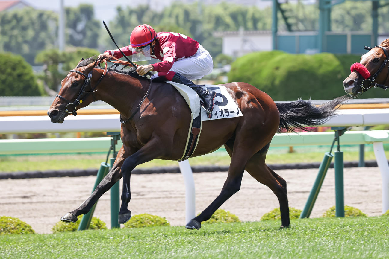 函館5R、デビュー戦を制したフィオラーノと松本騎手（撮影・村野早祐）